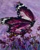 Lilás pillangó - előszínezett számfestő készlet (30x40cm)