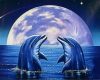 Delfinek éjszaka - előszínezett számfestő készlet (40x50cm)