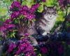 Macska a virágzó fán - előszínezett számfestő készlet (50x65cm)