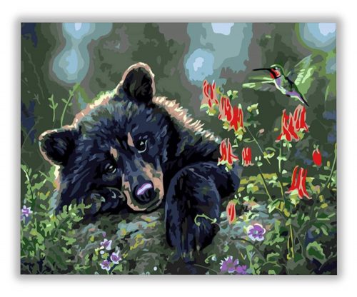Bájos medve - számfestő készlet