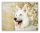 Hófehér kutya - számfestő készlet